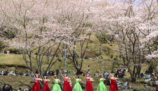 It was the best Kannongaike Sakura Festival!